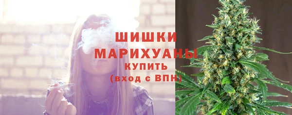 индика Великий Новгород