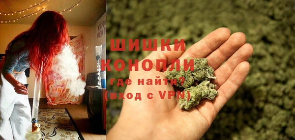 ПСИЛОЦИБИНОВЫЕ ГРИБЫ Куйбышев