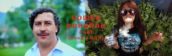ПСИЛОЦИБИНОВЫЕ ГРИБЫ Куйбышев