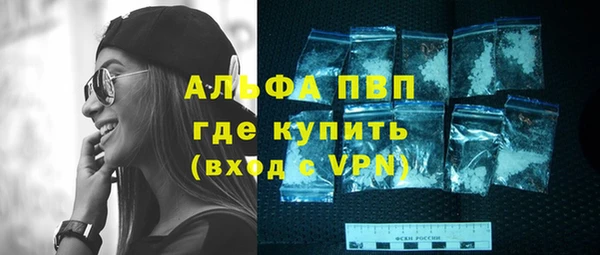 твердый Вяземский