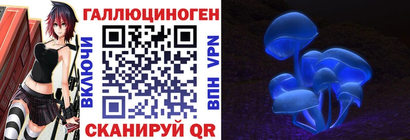 Галлюциногенные грибы Cubensis  Десногорск 
