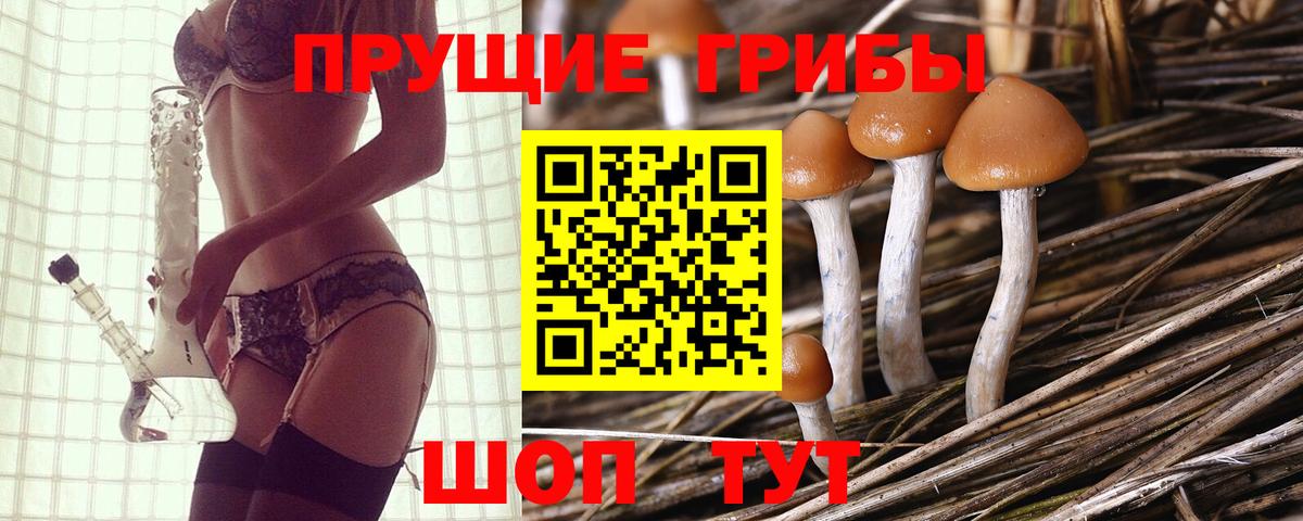 Галлюциногенные грибы GOLDEN TEACHER  Десногорск  Галлюциногенные грибы прущие грибы 