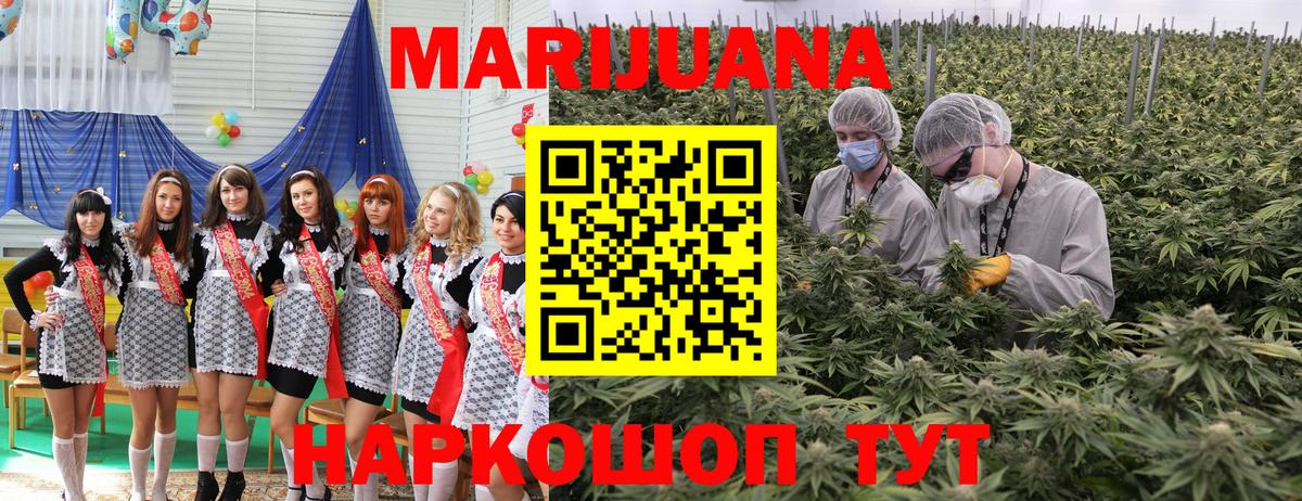 Шишки марихуана план  МАРИХУАНА план  Бошки Шишки конопля  Десногорск  Вход с VPN 